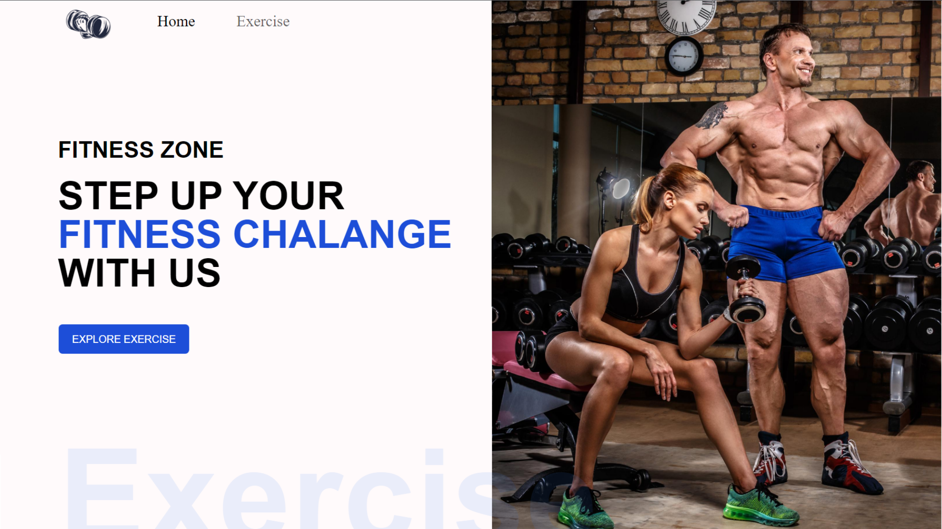 Fitness Website